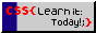 learn css today