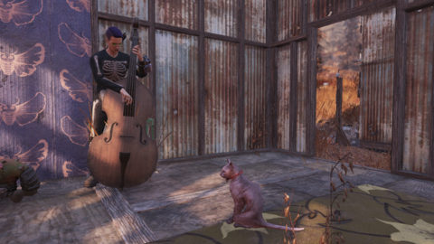 a ghoul lady plays bass for her cat